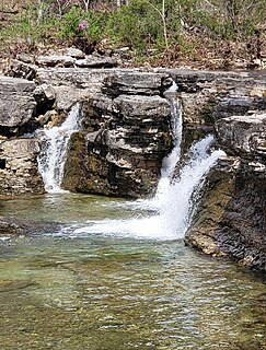 Hercules Glades Wilderness Wilderness area in Missouri