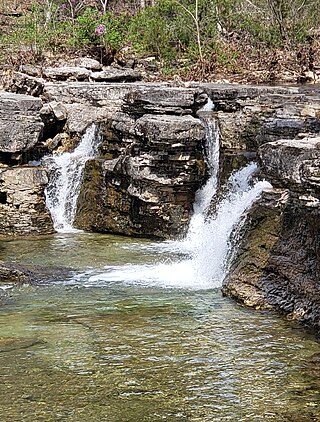 <span class="mw-page-title-main">Hercules Glades Wilderness</span> Wilderness area in Missouri