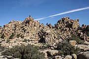 Joshua Tree National Park