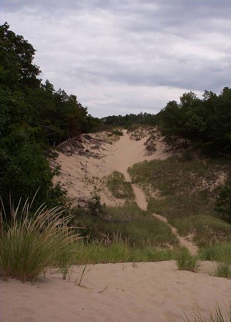 Hoffmaster parabolic dune