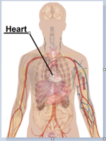 File:Side effects of alprazolam.svg - WikiLectures