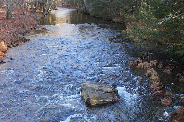 Huntington Creek in its upper reaches