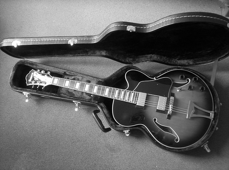 File:Ibanez Artcore Archtop in case (by Matthieu G).jpg