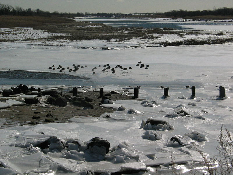 File:Icy3661.JPG