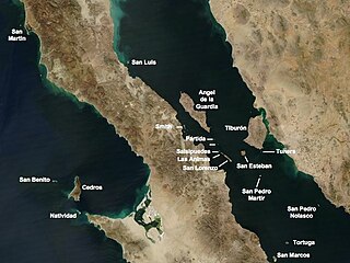 <span class="mw-page-title-main">San Esteban Island</span> Island in Sonora, Mexico