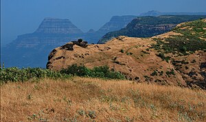 India2012 Maharashtra WesternGhats Bhimashankar landscape.jpg