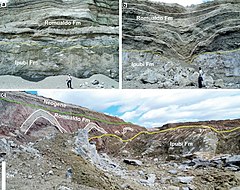 Ipubi and Romualdo Formations - outcrop.jpg