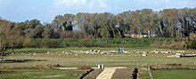 I resti del santuario di Hera Argiva alla foce del Sele