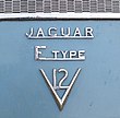 Jaguar-E Type logo.jpg