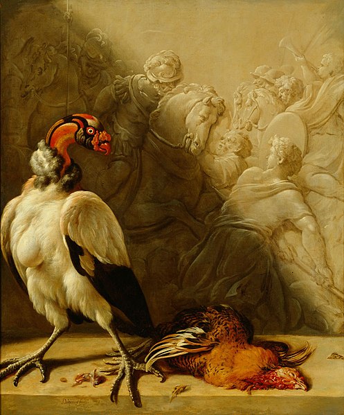 File:Jan Weenix - Südamerikanischer Königsgeier - GG 9045 - Kunsthistorisches Museum.jpg