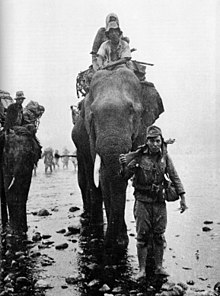 Japanese troops on elephant in Burma.jpg