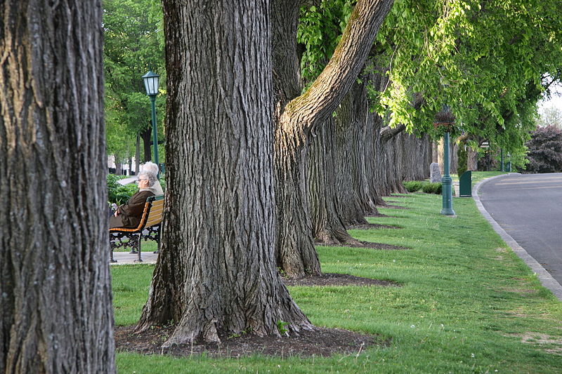 File:Jardin jeanne arc.jpg