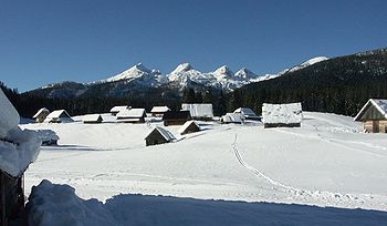 Pokljuka: Erdős fennsík Szlovénia északnyugati részén