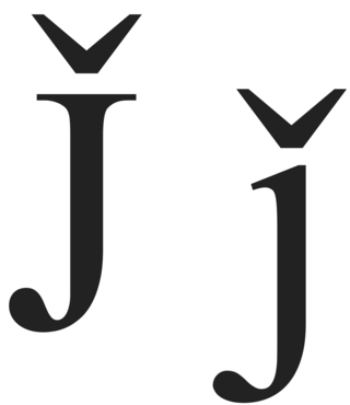 <span class="mw-page-title-main">J̌</span> Latin letter J with caron