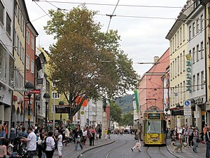 Freiburg Im Breisgau: Geografie, Geschichte, Stadtentwicklung