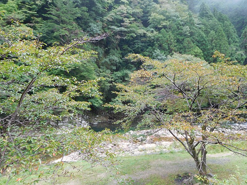 File:Kaochidani Momiji Valley.jpg