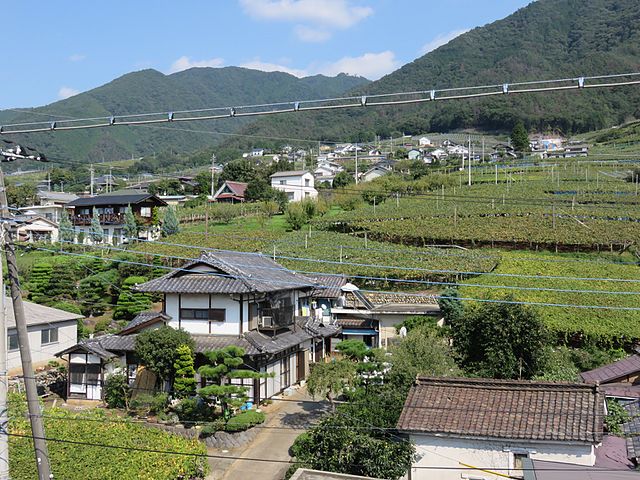 Vineyards in Kōshū, Yamanashi