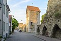 * Nomination Kvarntornet (the mill tower) and Visby city wall. --ArildV 06:44, 16 September 2020 (UTC) * Promotion Good quality. --Berthold Werner 09:41, 16 September 2020 (UTC)