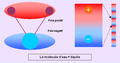 La molécule d'eau bipolaire.PNG