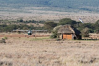 <span class="mw-page-title-main">Lewa Airport</span> Airport in Lewa Downs, Kenya