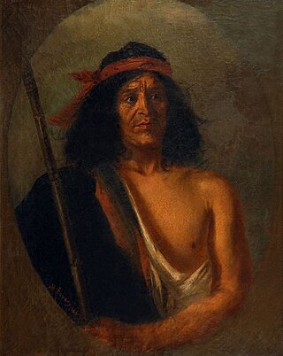 <span class="mw-page-title-main">Lonko</span> Tribal chief of the Mapuche people
