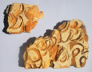 Lumachelle samples from the Miocene of France, containing abundant bivalve individuals Lumachelle.JPG