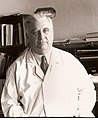 Méhes Gyula (1897–1970) orvos, az ÁOK rektori jogú dékánja (1951/1954)