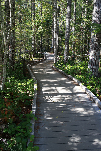 File:MRNP — Kautz Creek Trail (21255399814) (2).jpg