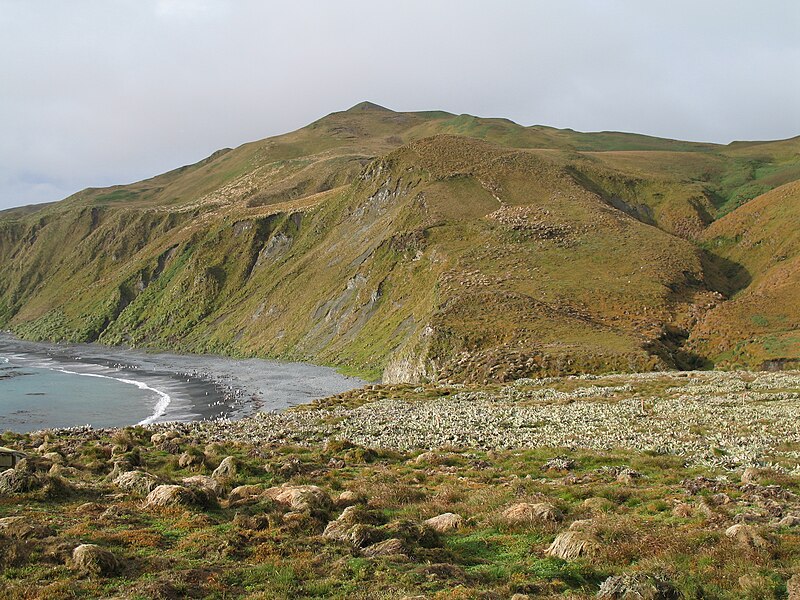 File:MacquarieIsland11.JPG