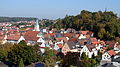 Altstadt mit Salvatorberg