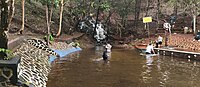 Bahasa Indonesia: Air Terjun Mandin Putri Kembar di Taman Hutan Raya Sultan Adam, Kabupaten Banjar, Kalimantan Selatan. English: Putri Kembar Waterfall in Sultan Adam Grand Forest Park, Banjar Regency, South Kalimantan. Banjar: Mandin Putri Kembar di Taman Hutan Raya Sultan Adam, Kabupatin Banjar, Kalimantan Salatan.