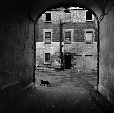 Elinor Wiltshire, Marshalsea Barracks, Dublin, 1969