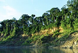 Frå Manú nasjonalpark