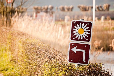 The Marguerite Route sign - an indication of a scenic route.