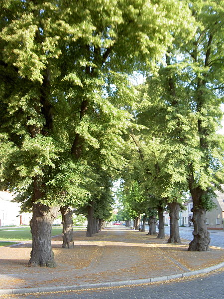 File:Markt Allee Annaburg.jpg