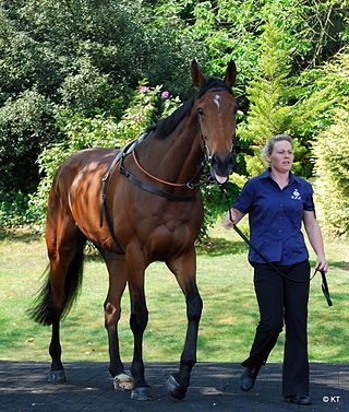 <span class="mw-page-title-main">Master Minded</span> French-bred Thoroughbred racehorse