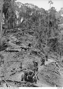 Men leading pack horses and mules loaded with supplies down the precipitous curving track from the end of the road down into the Uberi Valley. In the foreground is a 25-pounder gun that is being man-hauled through the valley to Imita Ridge. Men leading pack horses and mules on the Kokoda Track 4104864.jpg