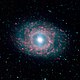 Messier95 spitzer.jpg