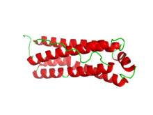 Mitochondriaal ferritine.png