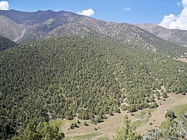 Mountains located South of Isfana.JPG