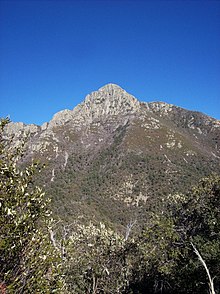 Mount Wrightson from Jack Mountain.