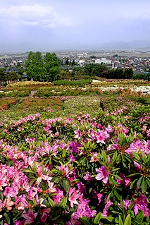 Sagae,  Präfektur Yamagata, Japan