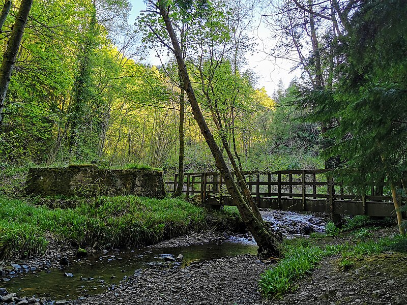 File:Nant-y-Ffrith footbridge.jpg