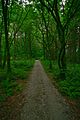 Svenska: Naturreservat Skrylle, Lunds kommun