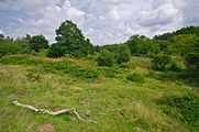 Svenska: Naturreservatet Knivsås-Borelund, Lunds kommun