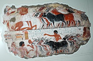 Ancient Egyptian Agriculture