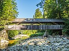 Neckerwis-Brücke über den Necker, Bächli (Hemberg) SG 20220810-jag9889.jpg