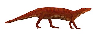 <i>Neoaetosauroides</i> Extinct genus of reptiles
