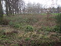 The paddling pool has not been restored- due to health and safety concerns