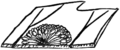 Fig. 1. Sorus of Polypodium falcatum